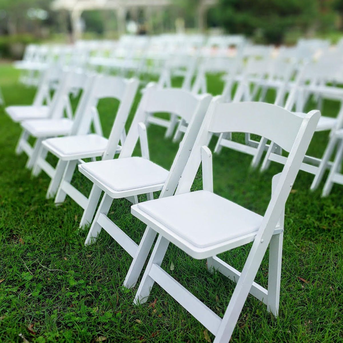 white Chairs